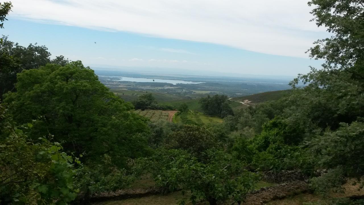 Abejas 1 De El Vergel De Chilla Candeleda Kültér fotó